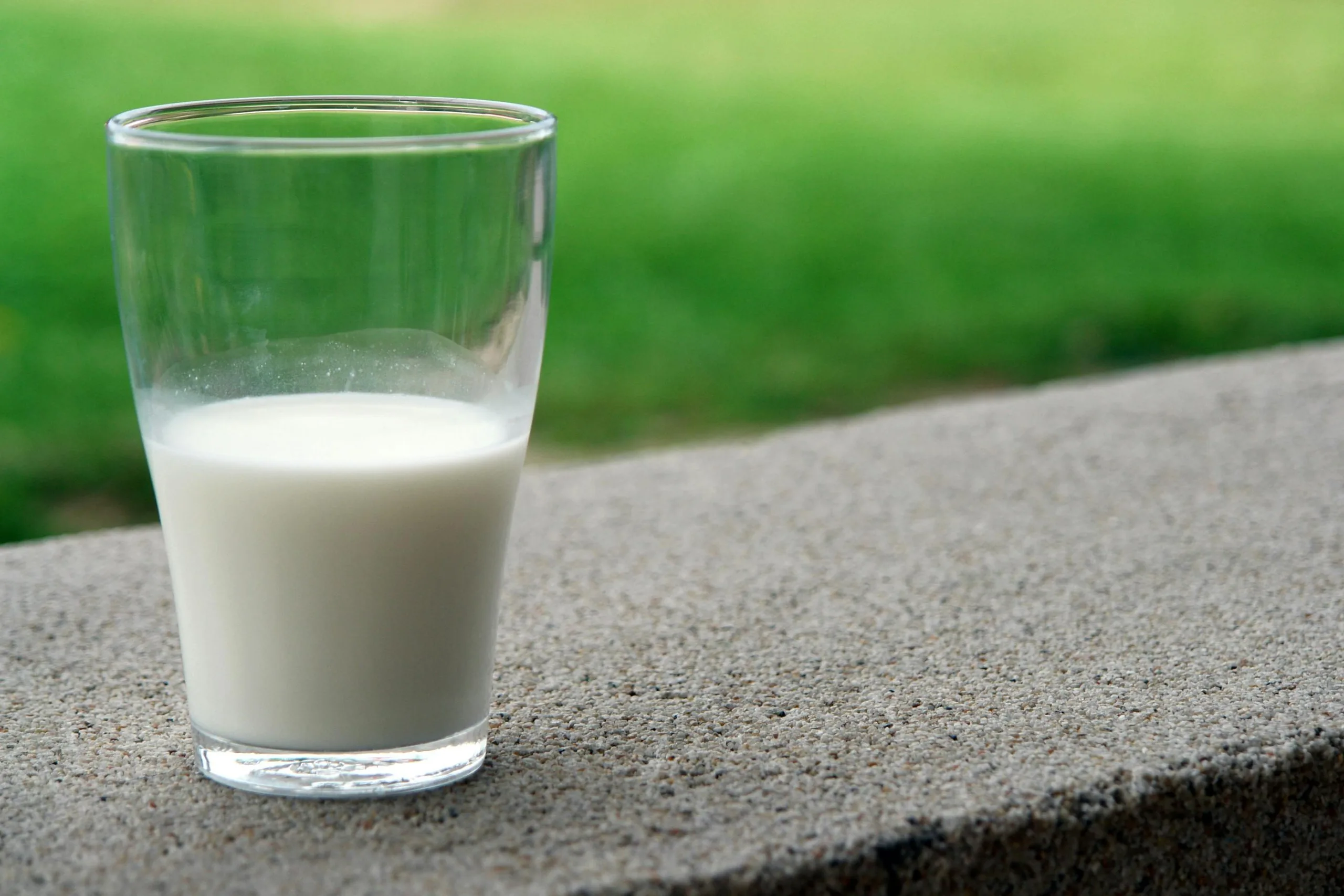 Milk containing casein in a glass on a pavement with green grass in the background.